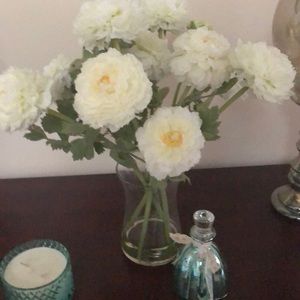 Meet your Posher, Priscilla